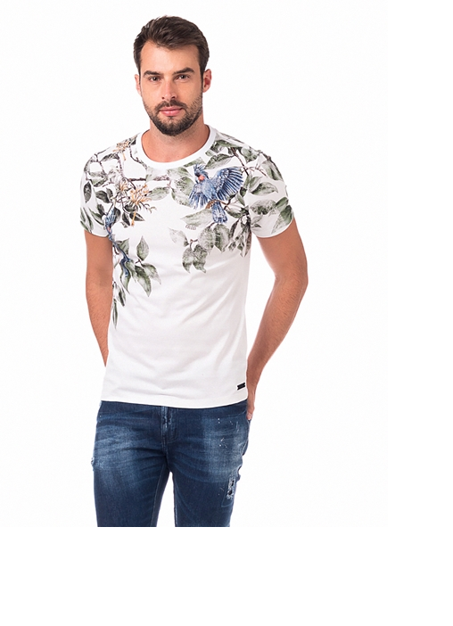 moda1