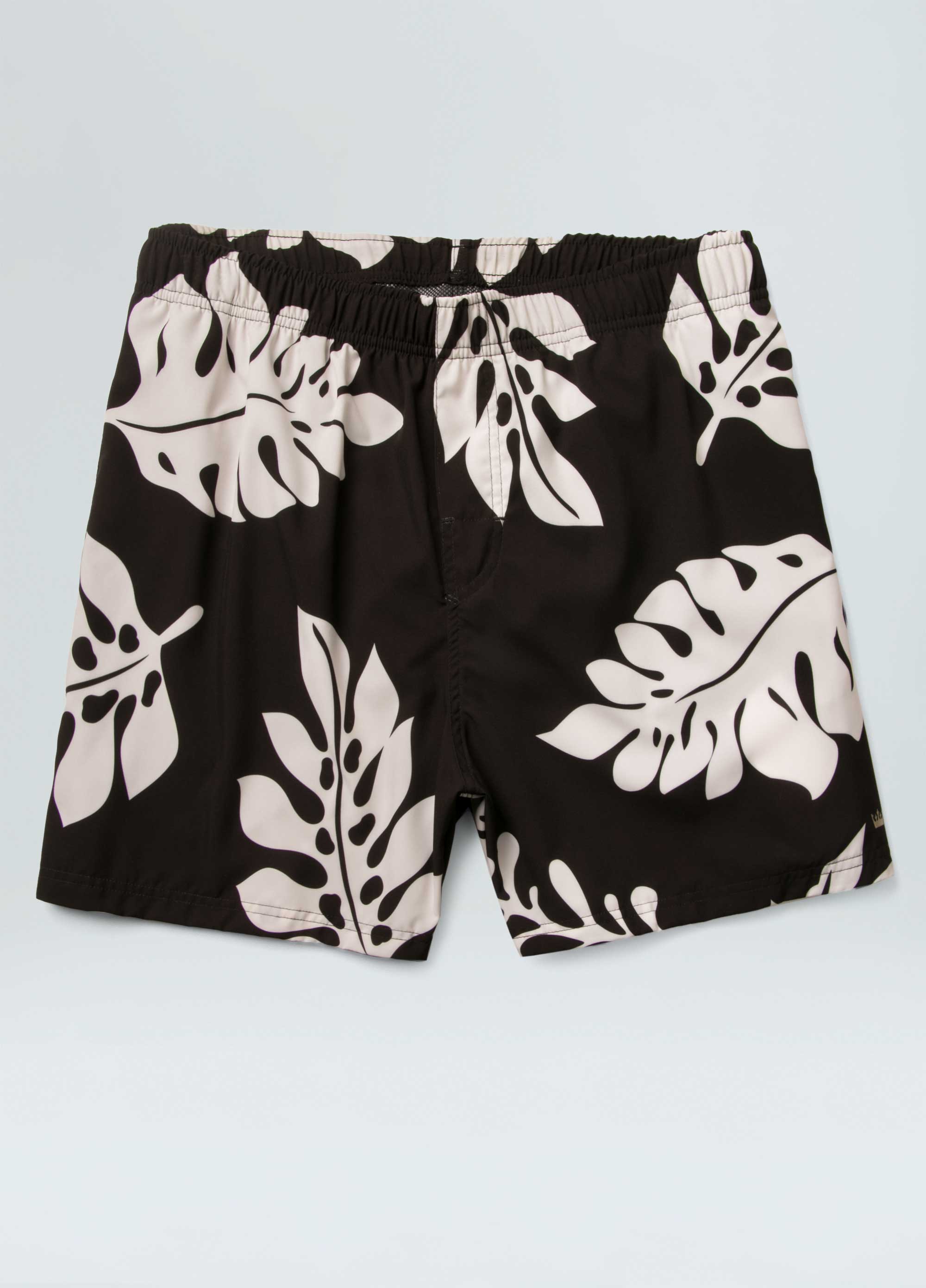 moda1